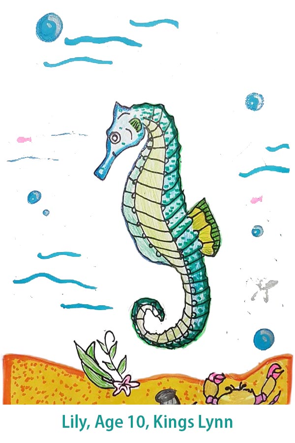 Lily age 10 Kings Lynn seahorse